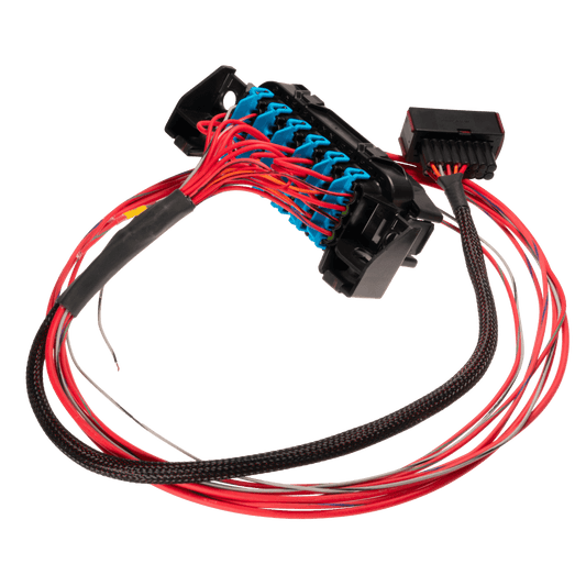 Link LS Harness - Fuse and Relay Box